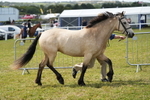 DSC05683