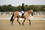 SBM_001201