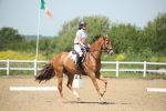 SBM_008907