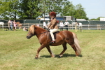SBM_05331