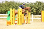 SBM_000905