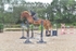 BPP_2954