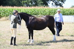 WJ6_4868