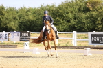 SBM_008591