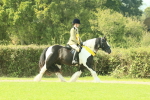 SBM_68999