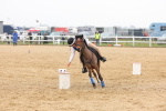 SBM_004306