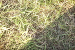 SBM_20218