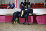 SBM_21337