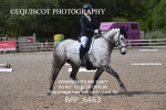 BPP_6463