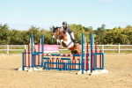 SBM_000491