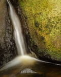 Burbage Brook, Yarncliffe Wood