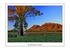 FLINDERS ICONS-Frame
