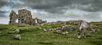 Typically Dartmoor