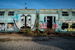 Train Graveyard Graffiti