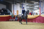 SBM_15684