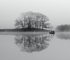 Esthwaite Fishing bw