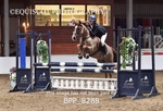 BPP_8288