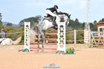 Cls 15 Foxhunter and 1.20m portfolio