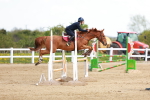 SBM_001808