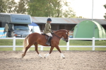 SBM_09191