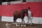 BPP_2316