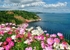 Babbacombe Downs