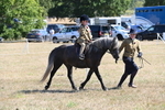 WJ6_7786