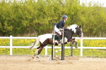 SBM_004042