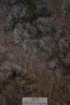231112-150556-01478