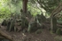 0009_HDR-2