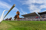 130826-Race 6-Saxon Grace-5271