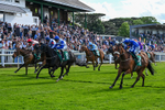 310526-Race 3-Al Hussar-8592