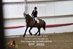 BPP_8886