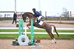 Cls 8 British Novice and 90cm Open portfolio