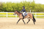 SBM_003915