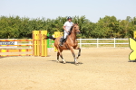 SBM_002174
