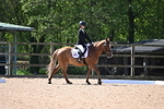 WJ6_8984