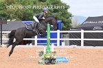 BPP_6033