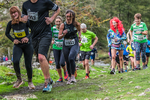 Dovedale Dash-1804