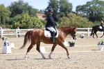 SBM_013866