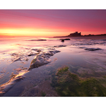 Dawn, Bamburgh Castle