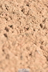 230811A-131822-05147
