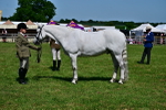 SBM_08083