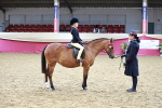 SBM_03047