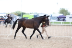 SBM_15253