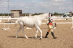 SBM_03807