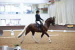 SBM_000806