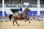 SBM_003334