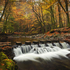 Stepping Stones