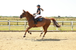 SBM_000971